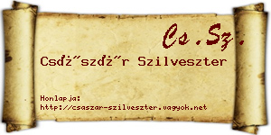 Császár Szilveszter névjegykártya
